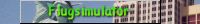 Flugsimulator